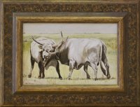 Tóth Tünde Szürke bikák 20x30